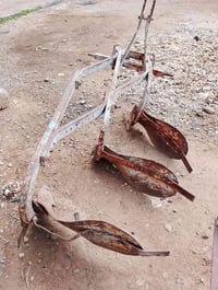 فدن • خرماشه • قريه كوكس