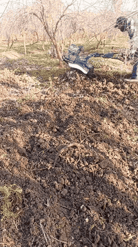 رافوسة مالت بساتين ومالت احداق
ال يجار  بسعر مناسب تقمج شبر  

اني مكلف بل نشر 
هاذ رقم صاحبهة 

***********   👋
