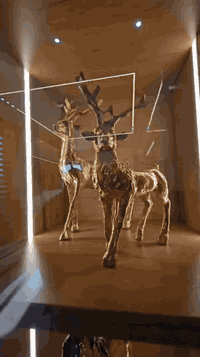 تصميمنا وتنفيذنا
للاستفسار
***********
