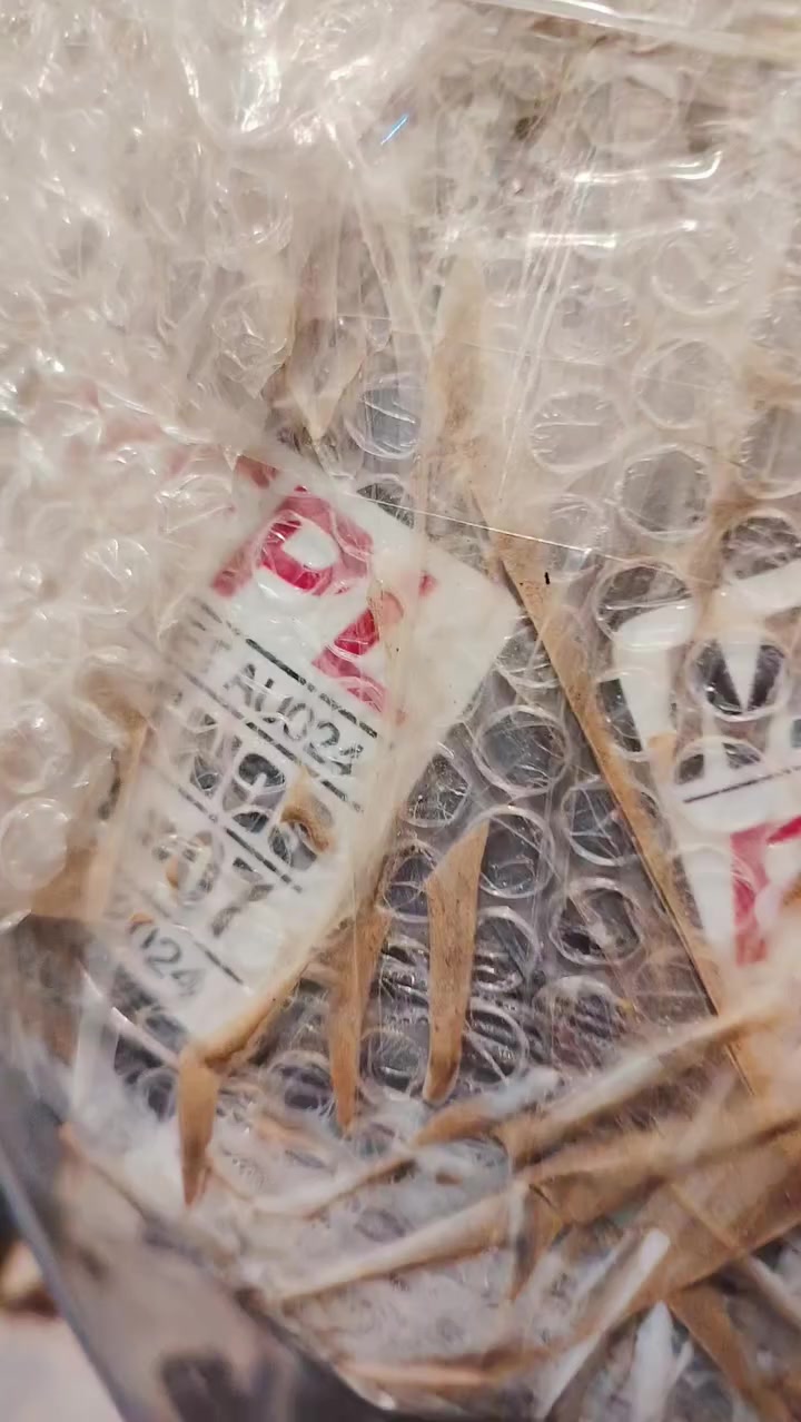 السلام عليكم مطار سنكي للبيع موديل 25 ماشي شيء قليل السعر خاص والاتصال على هذا الرقم. ***********
