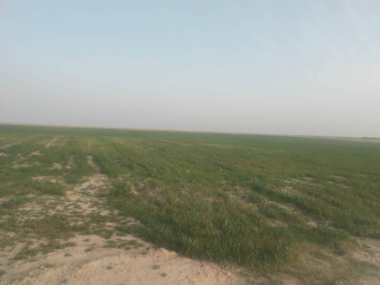 أرض زراعية للبيع مساحة 80 دونم  بيه بير بدون غطاس جاهزه الزراعة ومعدله يوجد فيه بيت سكن كامل  والكهرباء تبعد عن الرض مسافه كيلو الرض صالحه الزراعة 100\100 أرض كسران ما مزروعه المكان ميسان علي الغربي منطقه الجفته قرب بيت معله الرويشد السعر خاص اتصل ***********,♤*********** ومن الله التوفيق
