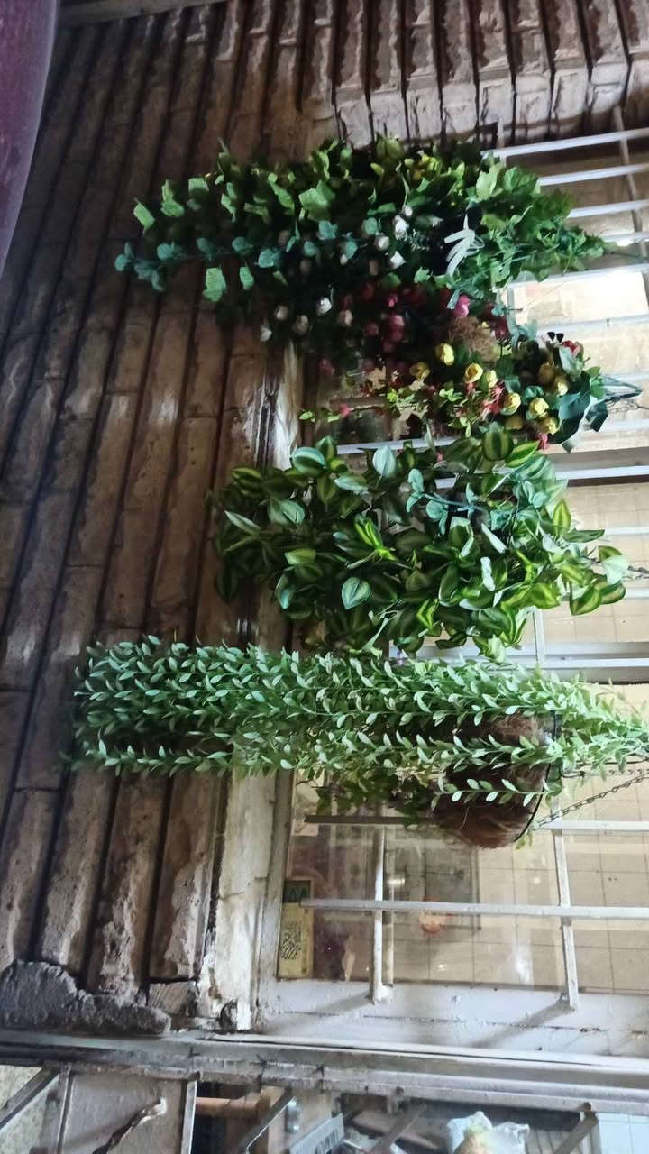 زرع صناعي بحاله جيده بغداد, العراق


**إذا كنت صاحب هذا الإعلان وتريد حذفه لأي سبب، رجاءا أرسل رسالة إلى الدعم الفني**