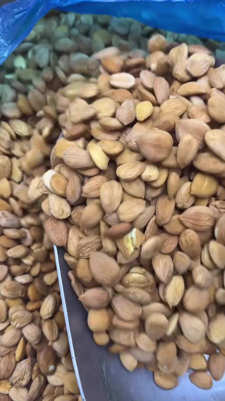 لب قيسي جديد ، تابعونا على انستغرام instagram.com/haji_ahmedtuz
تابعونا على تيكتوك
www.tiktok.com/@haji_ahmed_tuz
 متوفر توصيل اطلب الآن ***********
طوز ، محل حاج احمد اسد ، كوجوك بازار ، مقابل محل عقيل العطار ، قرب جامع رسول الاعظم(ص)
 #طوز  #طوزخورماتو
