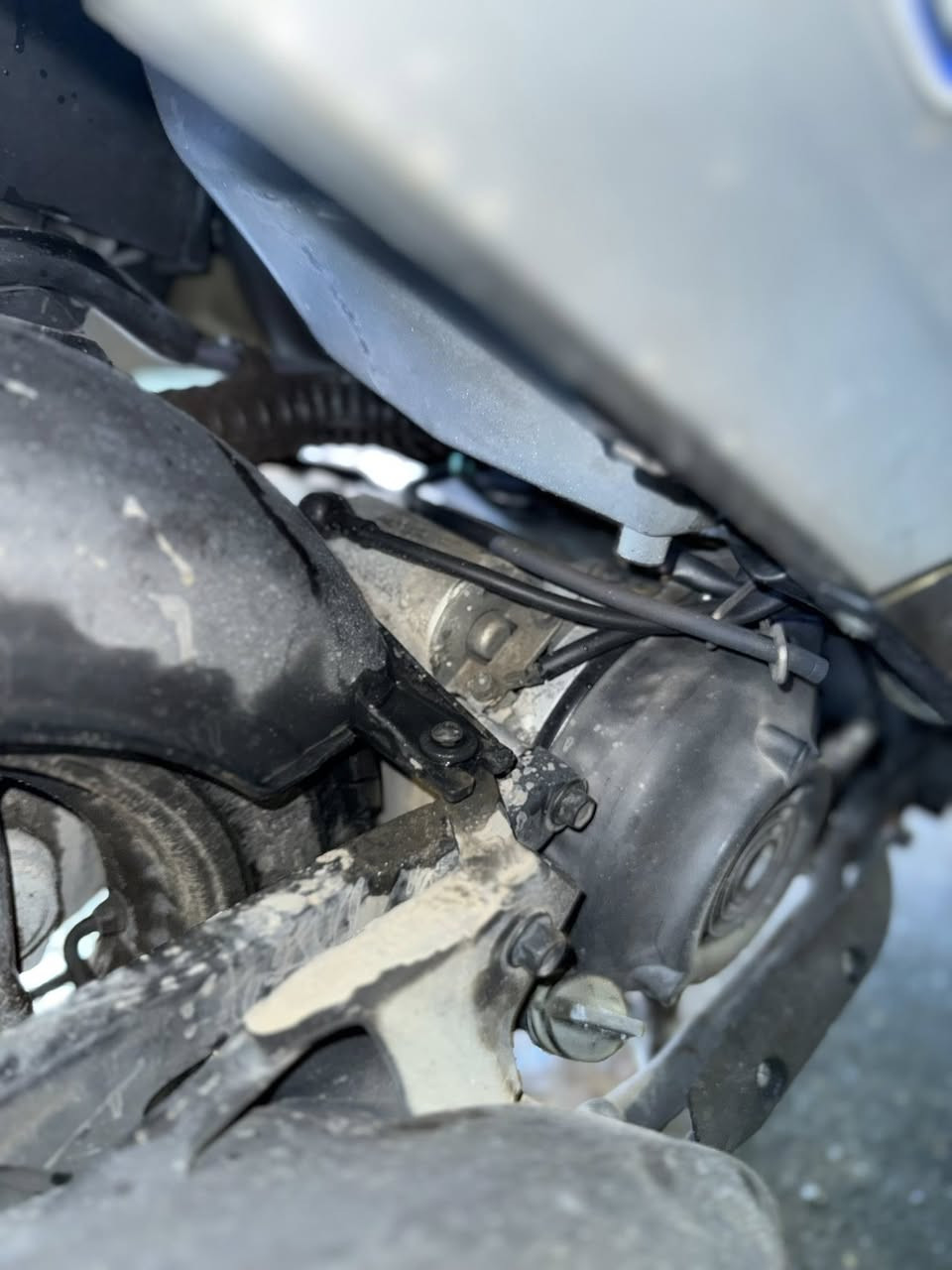 سلام عليكم دراجه بريز ببغائ جديده ربمه سعر 850الف


**إذا كنت صاحب هذا الإعلان وتريد حذفه لأي سبب، رجاءا أرسل رسالة إلى الدعم الفني**