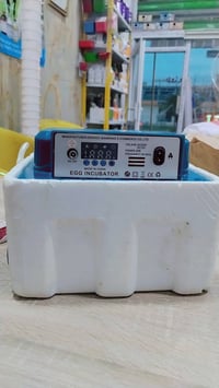 فقاسة • ١٦ بيضة • تقليب آلي