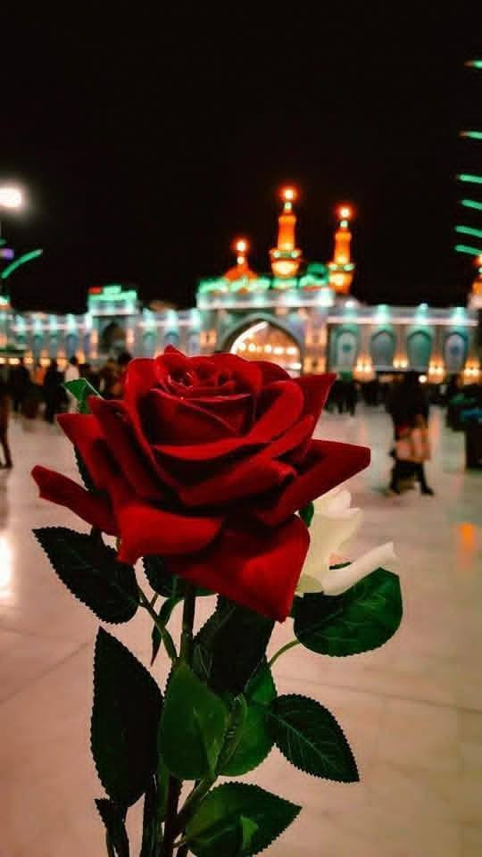 حمله علي الهادي للسفر وسياحه
الى اهالي السماوه والرميثه والخضر
ثاني يوم العيد  (20)الف الانطلاقه وراء صلاه الصبح
1-النجف الاشرف 
2كربلاء المقدسة  مبيت متنزه النوارس في كربلاء
3-الامام كاظم   مبيت وجزيره بغداد السياحيه
ومن ثم العوده الى محافظتنا الحبيبه
القشله حسينيه السبطين  
الاتصال ***********. واتساب
