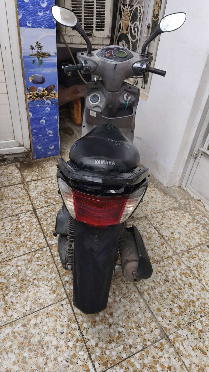 السلام عليكم سكنس فحل للبيع دراجه نظيفه اذا طلع بيه نقص تشلع عيوني مصارلي شهر من اخذته بس محتاج فلوس
اوراقه كامله ( ورقه شراء من المعرض + منفيس )
السعر 1.000.000وبي مجال
مكاني بغداد البياع 
واتساب موجود ***********
