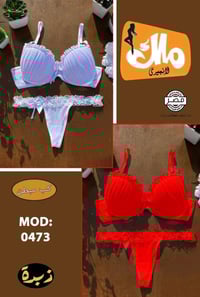 جملة ومفرد • توصيل جميع المحافظات • أسعار مناسبة