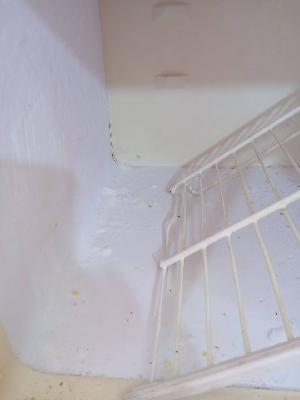 اغراض محل للبيع استخدام شهرين فقط ثلاجة وطباخ فلافل وفنكر وهمبركر مع ملحقاته السعر350الف طباخ منظدي ثلاث عيون جداحة منظدي مع المنظدة والمنظم  40الف حماية طعام مع اربعة بلانكات مع الكاونترها 250الف رف للاكل جداري مترين ونص تعليق مع طبلاته 125الف كاونتر عرض 200الف للاتصال *********** الرفاق الثانية
