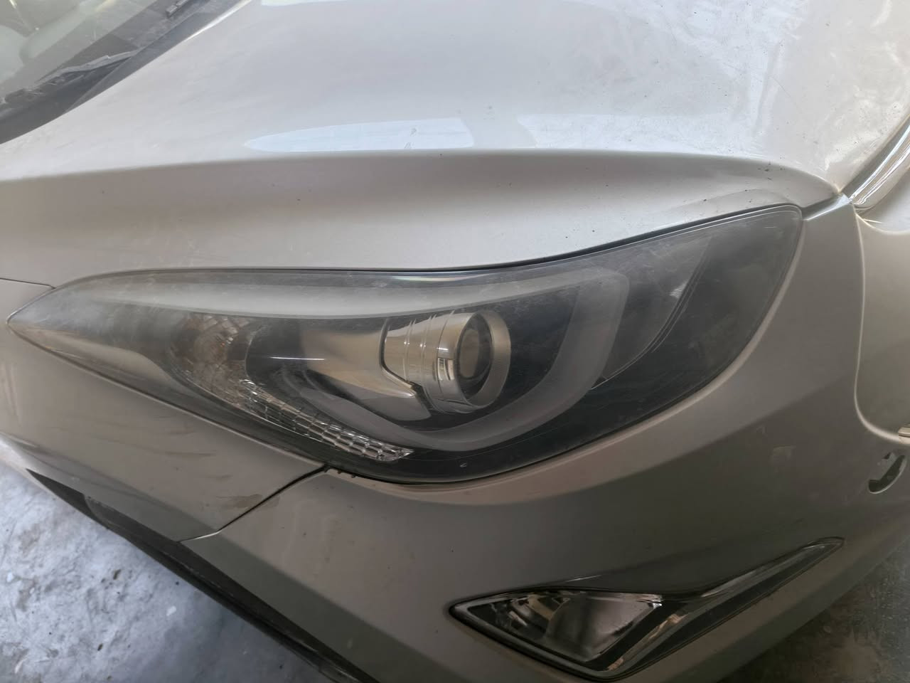 السلام عليكم مازدات النتره مضلع تفصيخ اصليات  امهات الد شغالات 100بل 100 للبيع العنوان بغداد بسمايه السعر 350   ( ***********
