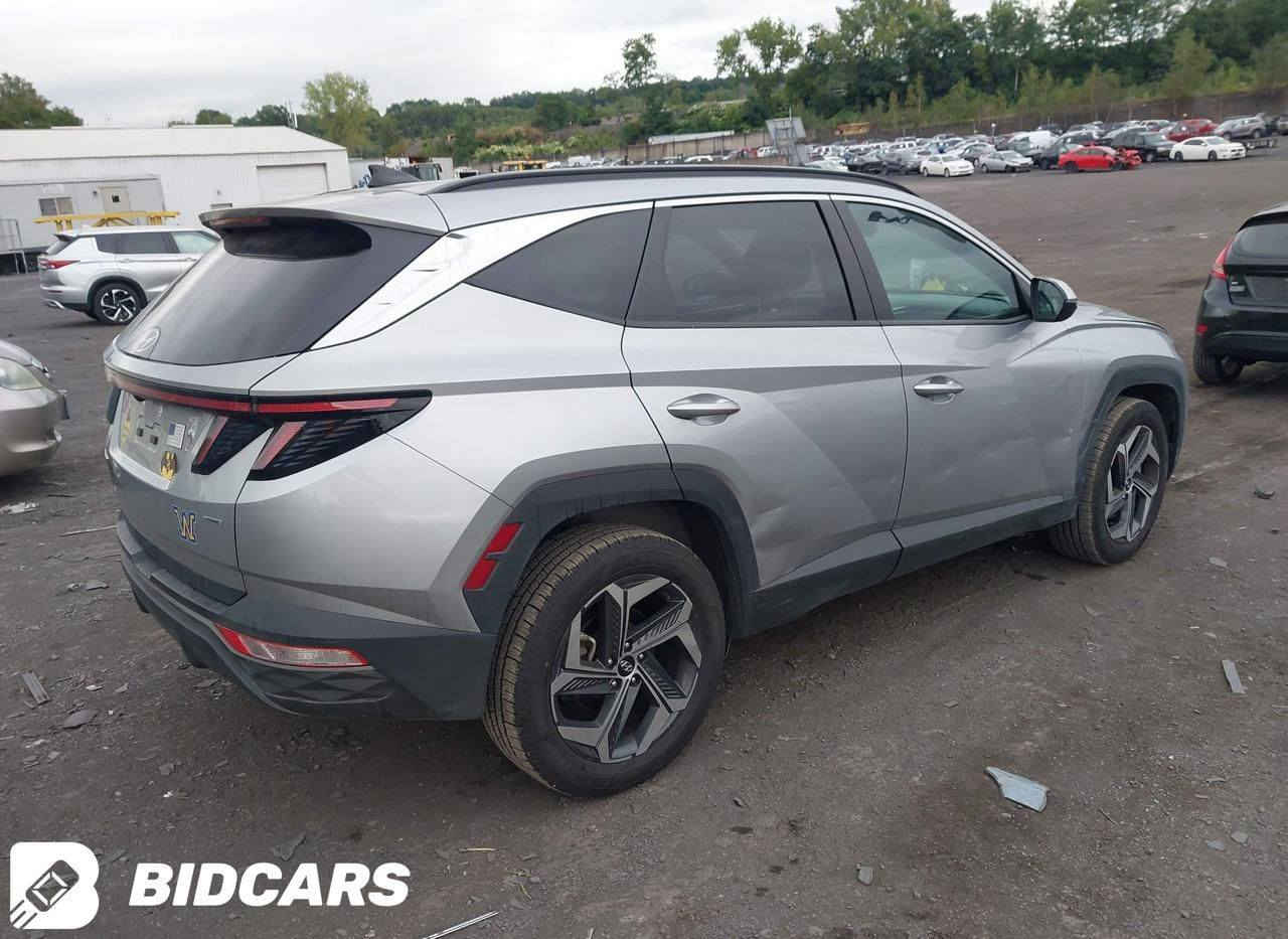 السعر : 165$ فتحه بصمه جلد
توكسان لمتد 2024 
مصلح واصل ميناء

٭ الحادث موضح بالصور

اتصال او واتساب :

• حسن المياحي    ***********
                  wa.me/9647809815815     الواتساب

 • احمد الطاهر    ***********
                  wa.me/9647809419963     الواتساب

٭ كروب واتساب نشر السيارات
https://chat.whatsapp.com/G1MkJFrwzhH4fIdxUY2X1D
