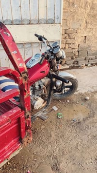 سترته • للبيع