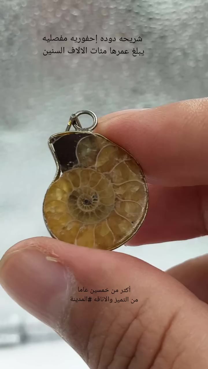 نوادر يبلغ عمرها مئات الالاف السنين #السعودية #إشتراك #المدينة #احجار #الخليج #لايك #المدينةالمنورة #احجار_كريمة #رمضان


**إذا كنت صاحب هذا الإعلان وتريد حذفه لأي سبب، رجاءا أرسل رسالة إلى الدعم الفني**