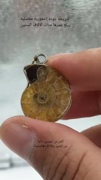 نوادر • أحجار كريمة • المدينة المنورة