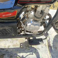 ستوتة ام طير • موديل 2022 • فحل عالي