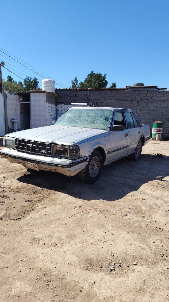 السلام عليكم سوبر موديل 84 رقم نينوى صاحبههه ماندله اكفلهه حلالل وحرام  سعر 10وبيه مجال  متركوه كتركوه رقم الهاتف ***********
