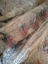 مساطر النترا • مضلع كندي • توصيل