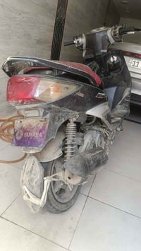سكنس فحل • مامفتوح • وصلحته