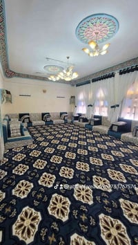 فاخر • زيتي أخضر • مجالس