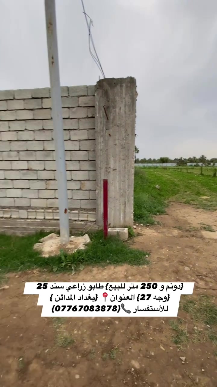 السلام عليكم {دونم و 250 متر للبيع} طابو زراعي سند 25 {وجه 27} مخدوم بالكامل على شارعين مسيج ومزروع نخيل 
 العنوان📍 {بغداد المدائن } منطقة الجعارة 
للأستفسار 📞{***********}

 #بيع #عقار #ترند #مزارع #عقارات
