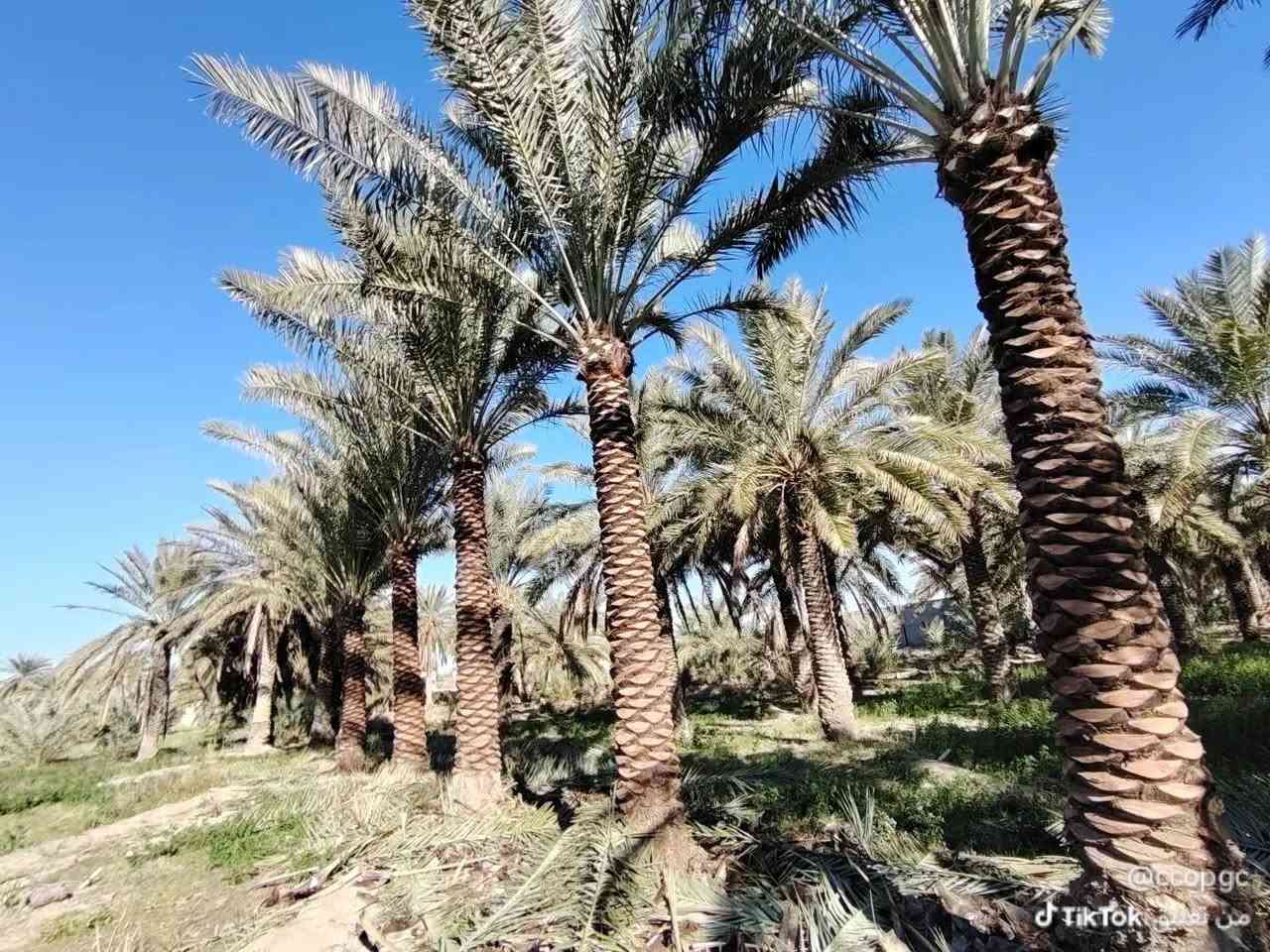 اللهم صلي على محمد وآل محمد
تكريب


**إذا كنت صاحب هذا الإعلان وتريد حذفه لأي سبب، رجاءا أرسل رسالة إلى الدعم الفني**