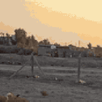 يتوفر دار زراعي للبيع خلف مطعم واثق الدغاره المساحه ٣٠٠م وبسعرمناسب جد...