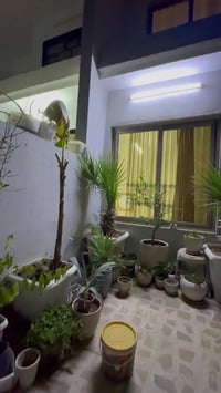 زانكو • ١٠٠م • واجهة قبلة