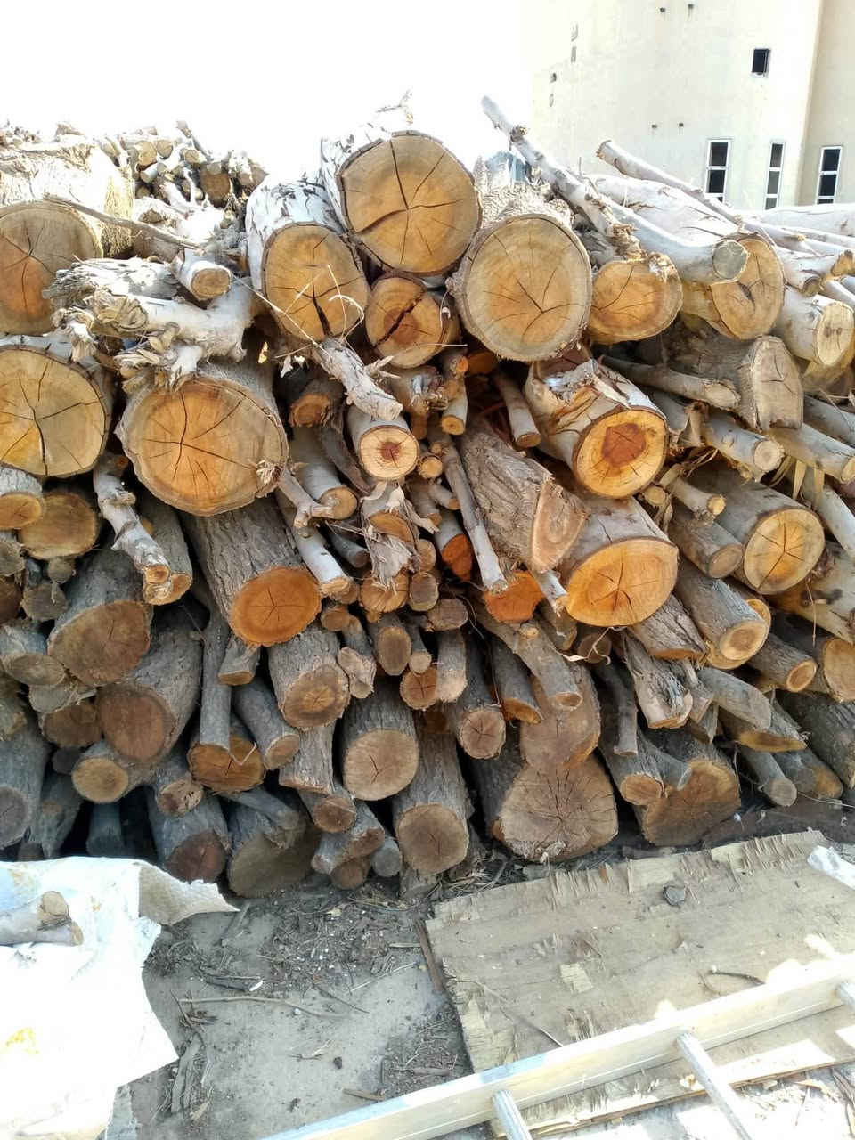 فحم رقم 1كونيه مال طحين السعر ٢٢ الف شرط درجه ولى


**إذا كنت صاحب هذا الإعلان وتريد حذفه لأي سبب، رجاءا أرسل رسالة إلى الدعم الفني**