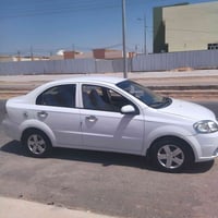 افيو • ٢٠١٦ • رقم كربلاء