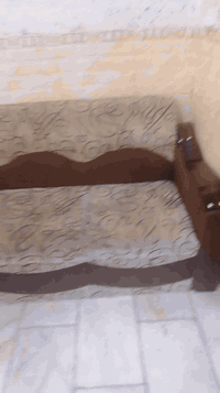 عندي تخم قنفات اخو الجديد رايده 350 وبي مجال الي يريده يتصل على الرقم ...