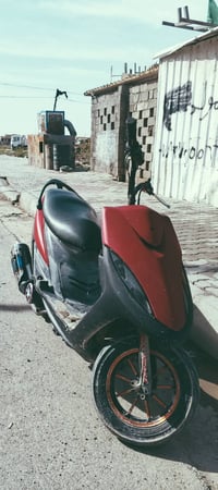 ماكس عدلة • بوشة 55 • معدل شلعة