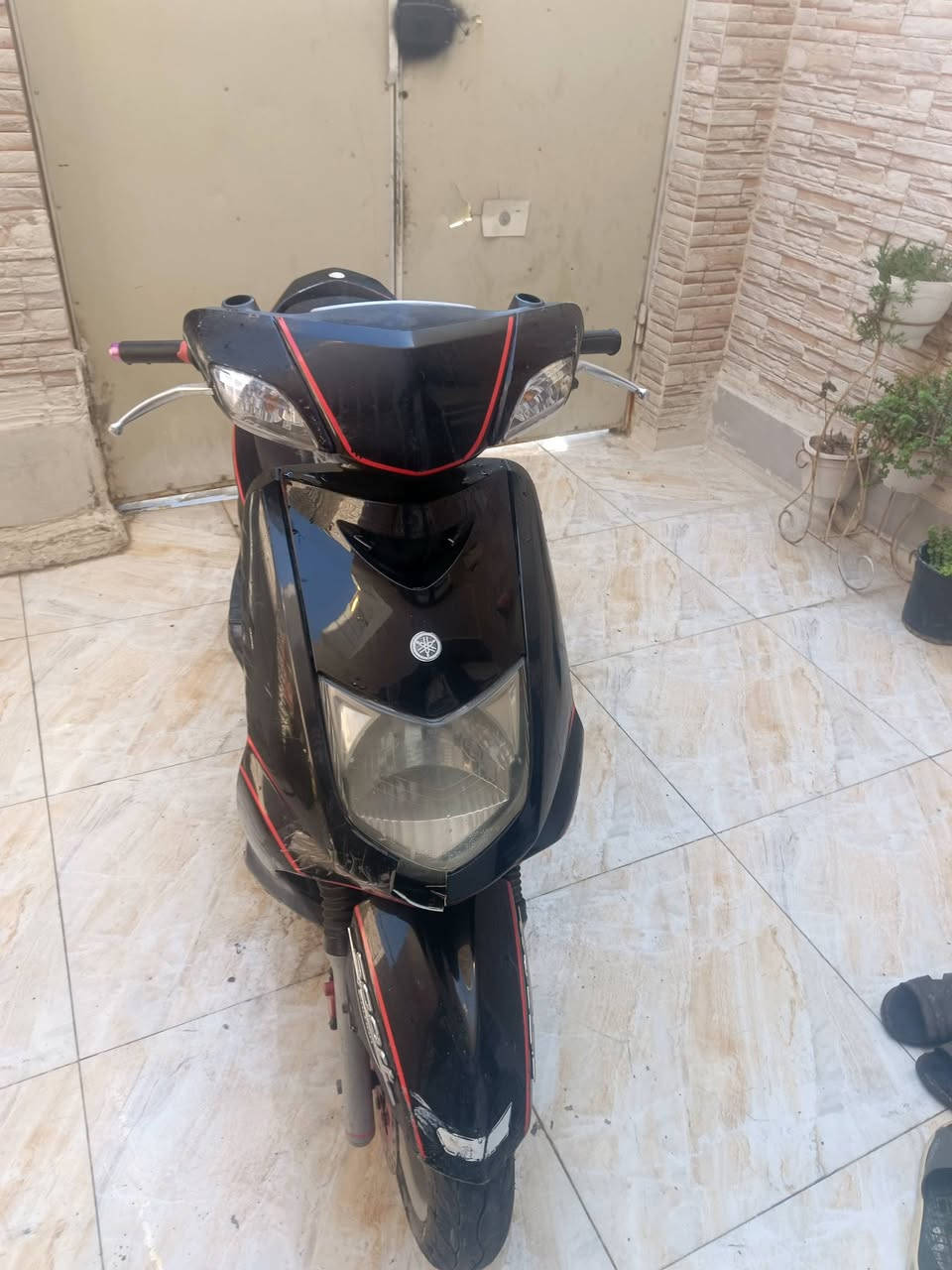 سكنس نثيه كوم حديد

جانت تمشي بيه وطفت 

محرك اخرس الله شاهد

200وبيه مجال حك الجيه. المكان بوب الشام ورة القوس مال الحسينيه


**إذا كنت صاحب هذا الإعلان وتريد حذفه لأي سبب، رجاءا أرسل رسالة إلى الدعم الفني**
