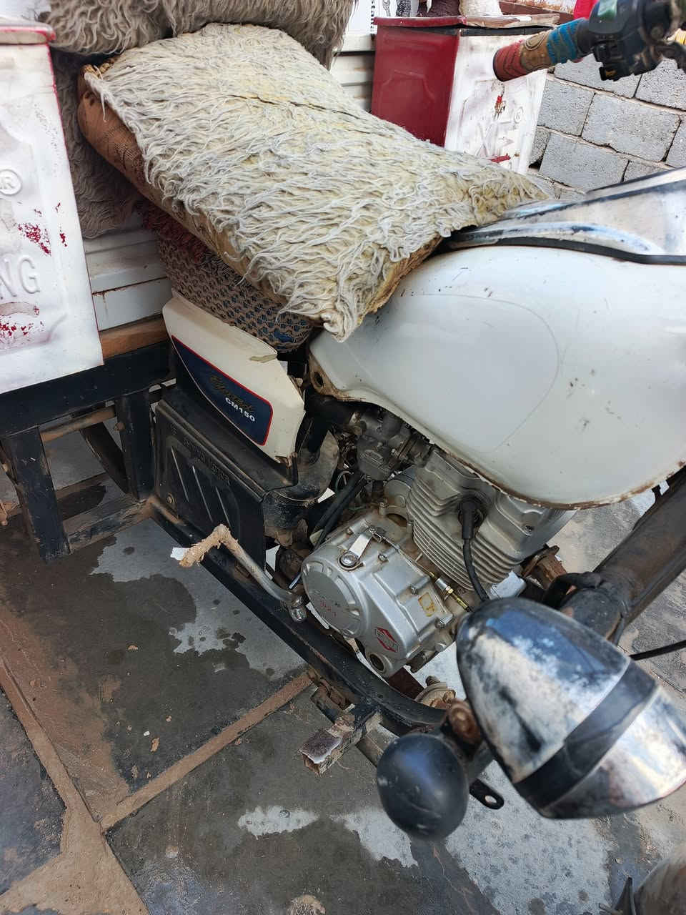 للبيع ستوته أصولي اوراق 2020 فحل
ستوته جاهزه وكامله ‏‪***********‬‏ مكان طريق كربلاء نجف عمود 250
