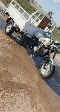 ستوته دايوان • موديل ٢٠٢٠ • بدون أوراق