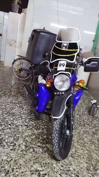 بوكسر • جبلي • ٢٠٢٣