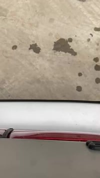 كزوز رياضي • ريمونت • صوت فول