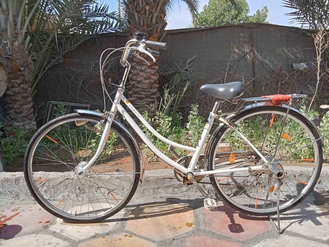 باسكل ياباني حجم 27 بريكات أمامي خلفي شغاله داينمو لايت ابيض شغال قفل وره شغال جاملغات كروم بداله 6 نمر باسكل نضيف مديل2017 مال حاويه ولون ابيض حليبي سعر 95 وبيه مجال المكان ناصريه مركز الاتصال او استفسار على هاذه الرقم(***********) ناصرية, ذي قار
