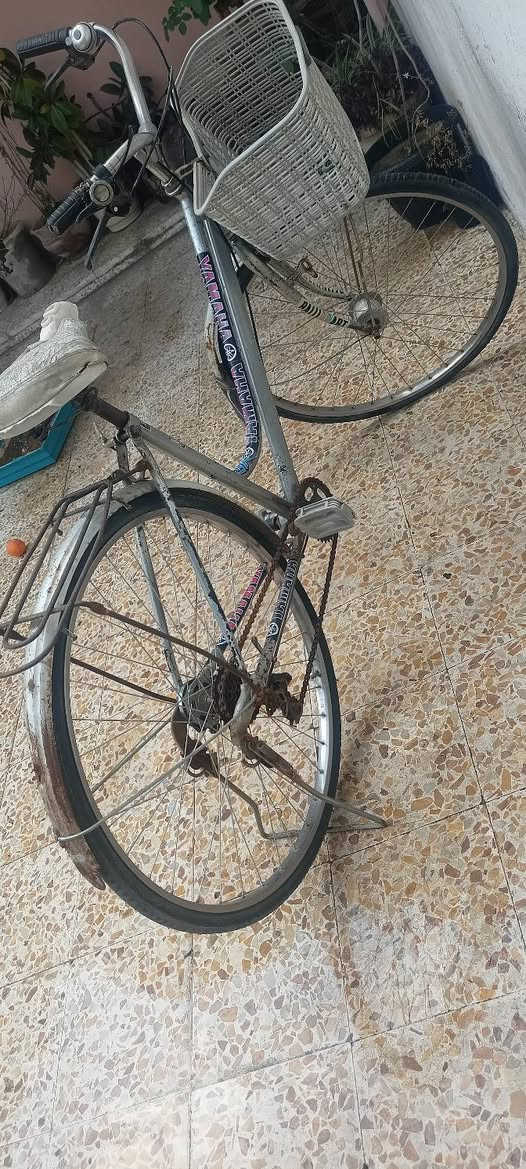 السلام عليكم للبيع ب40


**إذا كنت صاحب هذا الإعلان وتريد حذفه لأي سبب، رجاءا أرسل رسالة إلى الدعم الفني**
