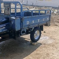 ستوته • موديل ٢٠١٩ • بدون أوراق