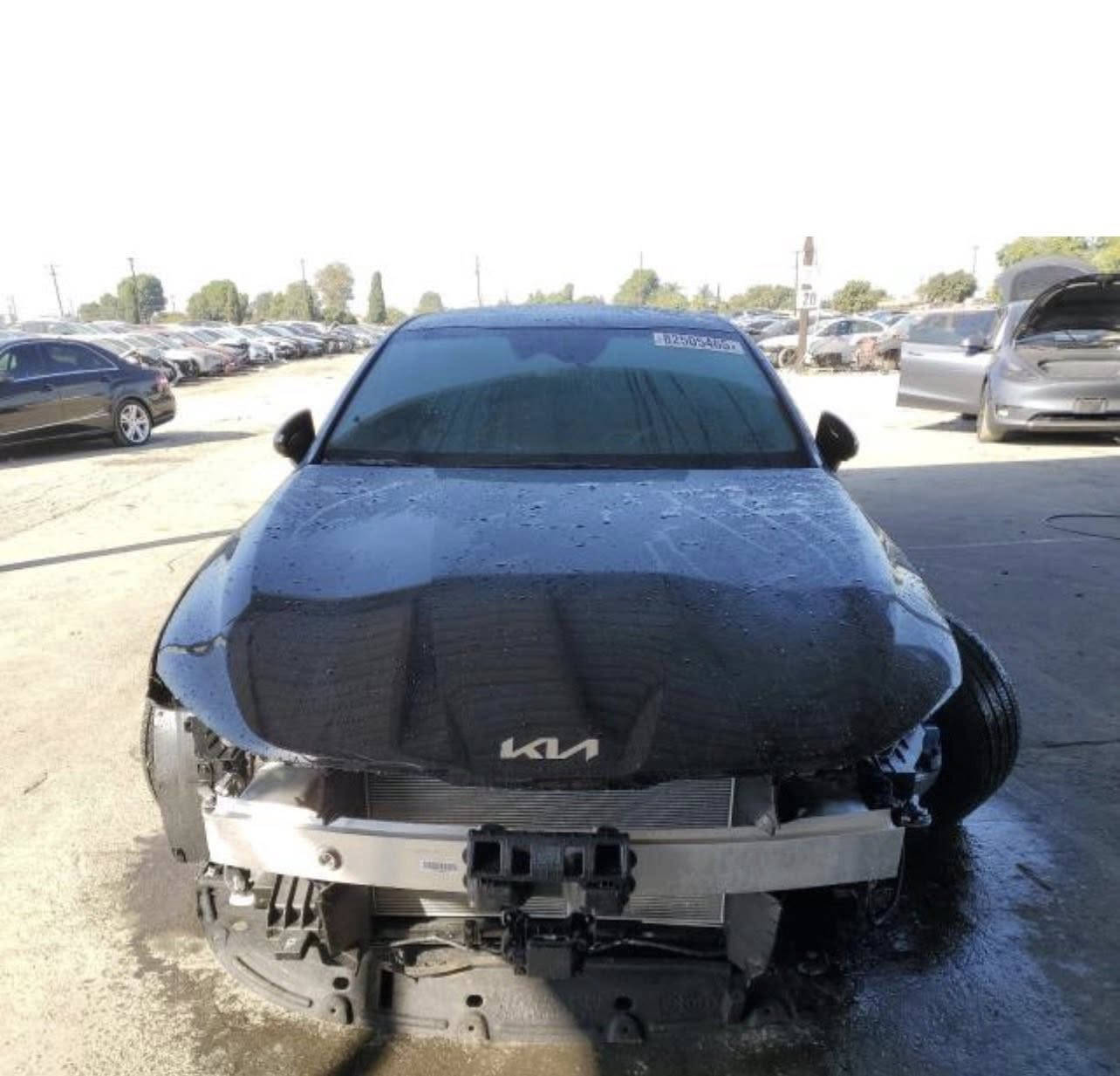 كيا K5 موديل 2026 – GT Line – وارد أمريكي
•المحرك: 2500 تنفس طبيعي 

.السيارة زيرو زيرو زيرو
حادثها  شبر بالجاملغ الأيسر  تعدله وترجعه وحدادية امامية ايسر فقط
وغراضها كله وياها موجوده 

.المواصفات فول الفول الأخير :
بصمة تشغيل
سقف بانوراما
جلد لونين (أسود مطعّم بالأبيض)
Auto Hold + هندبريك بصمة
شاحن وايرلس
لايت زينون بلادي أمريكي
2500cc محرك
شاشة ديجيتال كبيرة متصلة
كرسي سائق كهرباء
تدفئة مقاعد أمامية
ال إضاءة LED خلفية
قيادة ذاتية
 كامرة 360° دوارة
حساسات 360 درجة 
رادار مسار + رادار جانبي نظام صوت من شركة BOSE
أوتو بريك

السيارة بأسمي شخصيأ مدفوع النقل تبقه يمك تريد تدخلها شهداء أو حره بكيفك 

قبل 5 أيام من وصلت الباخرة الأم قصر يومين وتروح تستلم امر استلام

السعر: 170 وبيه مجال مكاني بغداد البياع

الرقم :***********
