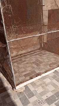 متاح قفص يرهم لانواع طيور شراي يراسلني خاص او يتصل على الرقم *********** مكاني رفاعي
