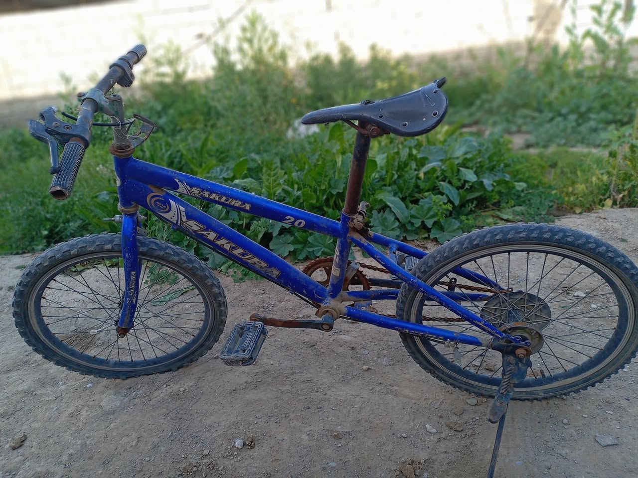 السلام عليكم باسكيل ياباني نظيف للبيع السعر 10


**إذا كنت صاحب هذا الإعلان وتريد حذفه لأي سبب، رجاءا أرسل رسالة إلى الدعم الفني**