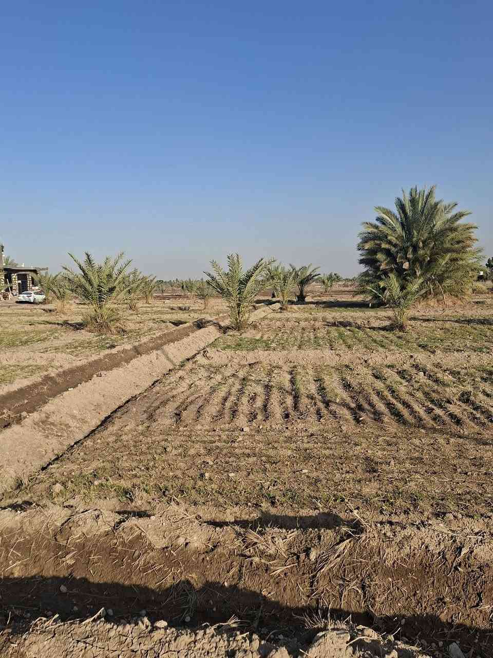 قطع سكنية للبيع طابو زراعي سند 25 مباشر على التبليط وبطرفها شارع يحيط بالأرض من الجانب
متوفرة كافة الخدمات. ماء + كهرباء + تبليط
الي يريد يشتريها شلع المساحه الكلية 3 دونم واجهتها 30 متر على التبليط بالإضافه للشارع الي بجانبها. والأرض لها نهر ماء خاص للسقي مباشر من الجدول. 
العنون: الحله_ الصياحية_ قرية حجي احمد 
تبعد عن شارع حلة_بغداد تقريبا كيلو
السعر على الخاص
او الإتصال على الرقم ***********
