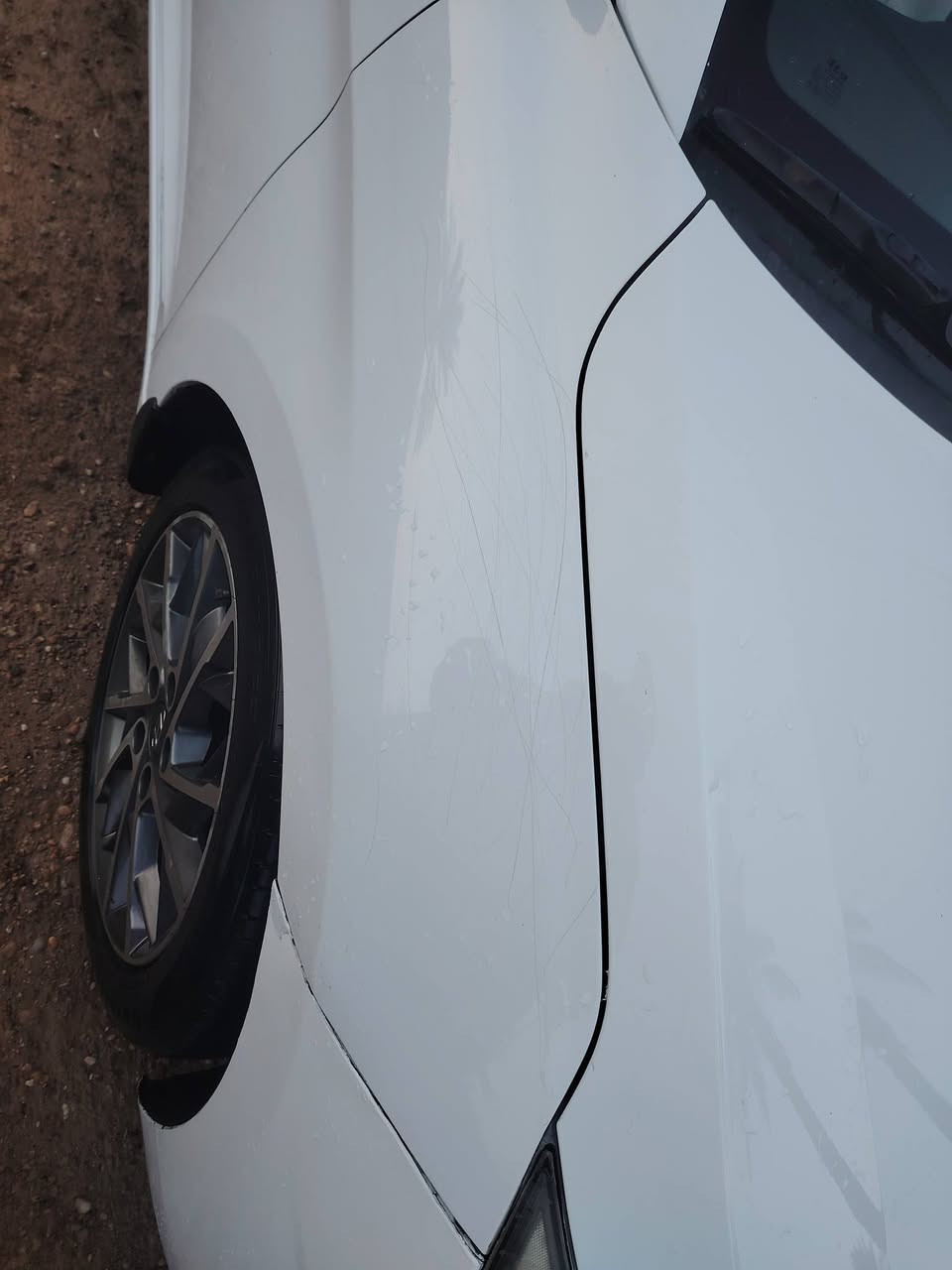 النتر خليجي موديل 2020 رقم بغداد فول موصفات مكاني الأنبار رمادي الجزيرة البوعساف سعره 155 السياره مكفوله من صبغ او تبديل بيه شخوط أثر خباثه تحويل مباشر كير محركه مكفولات السونار موجود بل منشور ***********
