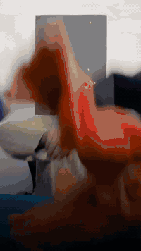 احدث الموديلات 🎉👇🏻 مكواه اصليه مع ضمان 6 اشهر 📝📩 مواصفات 🔥✨ مكواة بخار...