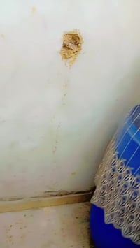 شقه سرقفليه البياع شارع 20 الاولى للاستفسار 07815650598