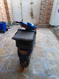 منغولي للبيع السعر ٣٥٠ قفل07830930310