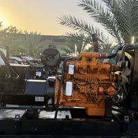 مولد دايو • 300كيفي • بلادي وربيه