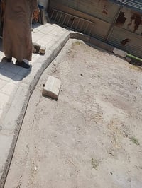 بيت للايجار بغداد • ايجار بيت شهداء • بيت بغداد شرطة الرابعة • بيت للا...