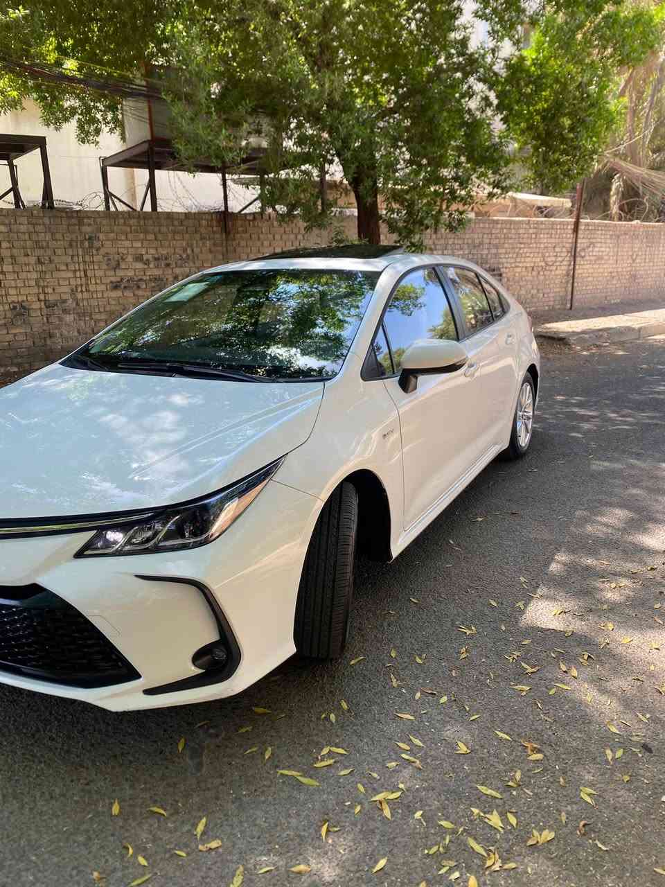 تويوتا كورولا هايبرد الشكل الخليجي 

ماشي /  Km 25 

#جديـد

🔥#كفاله_عامة🔥

بسعر  (155$) مجالك حك جيتك فقط

اليكم التفاصيل الآتية:

✅ خليجي 

✅ الموديل 2025 

✅ سعة المحرك 1,8L
 

✅ عدد AIR BAG 8

✅ سلايد رووف

✅ لايت زينون + LED

✅ حجم الاطار 205/55R16 

✅ ويل كب 16

✅ مفتاح التشغيل بصمة

✅ دشبول ديجيتال 

✅ شاشة اصلية

✅ كاميرا 

✅ تتسع المقصورة ل 5 ركاب

✅ مثبت السرعة Cruise

✅ تحديد المسار

✅ المودات والأوامر الصوتية

✅ فحص أنظمة السيارة 

✅ حساسات ضغط اطارات 

✅ تبريد شاشة

✅ قطعتين تبريد

✅ هاند بريك بصمة

✅ نظام مانع الانزلاق 

✅ اوتو هولد Auto Hold 

✅ اشارة في المرايا الجانبية

✅ مخرج منفذ الطاقة

✅ ا  Bluetooth 

✅ كار بلي 

✅فتحة سقف 

🛑فوووول مواصفات  🛑

عنوان 📍.. بغداد  الاعظميه صليخ 

للاستفسار يرجى الاتصال على الرقم واتس اب  ☎️*********** 

 للاتصال :***********
